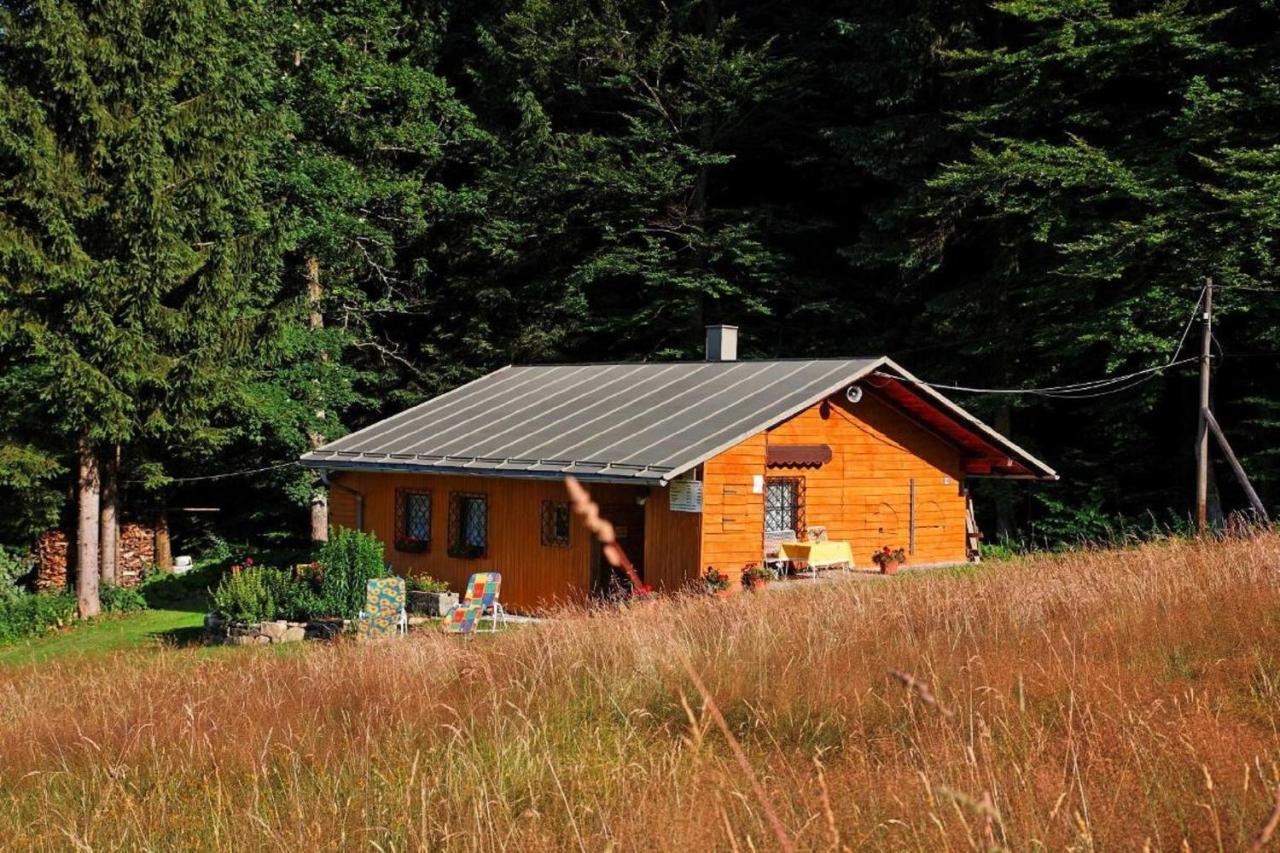Haus An Der Bergwiese 발트키르헨 외부 사진